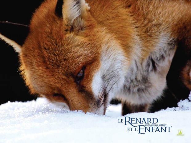 Le nez dans la neige